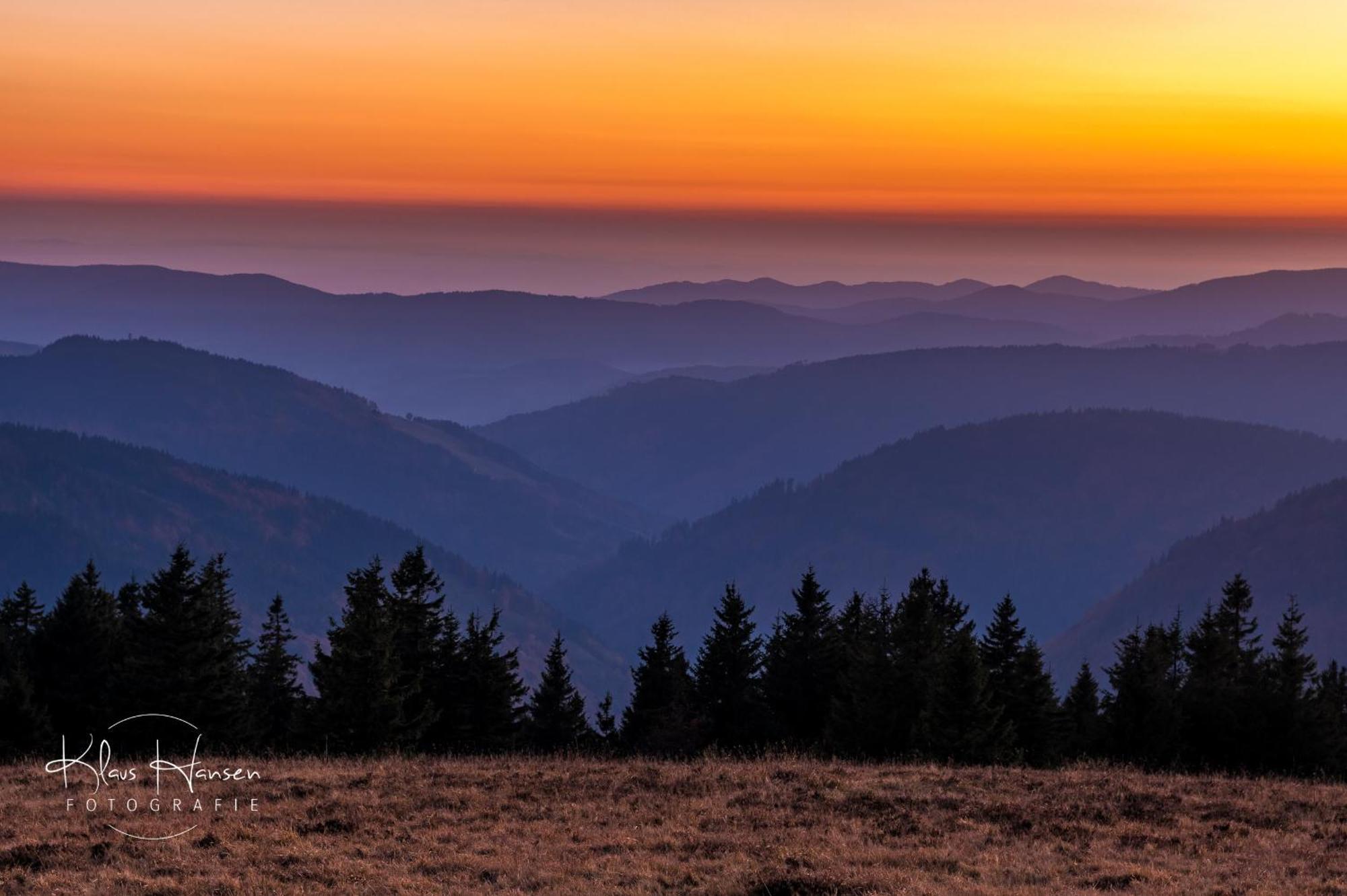 Fewo Sunneschii, Hoechenschwand, Dorf Am Himmel, Sauna Im Hausアパートメント エクステリア 写真