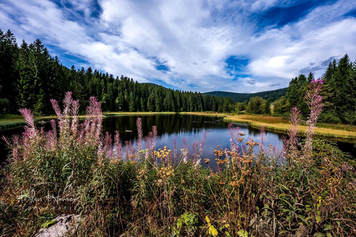 Fewo Sunneschii, Hoechenschwand, Dorf Am Himmel, Sauna Im Hausアパートメント エクステリア 写真