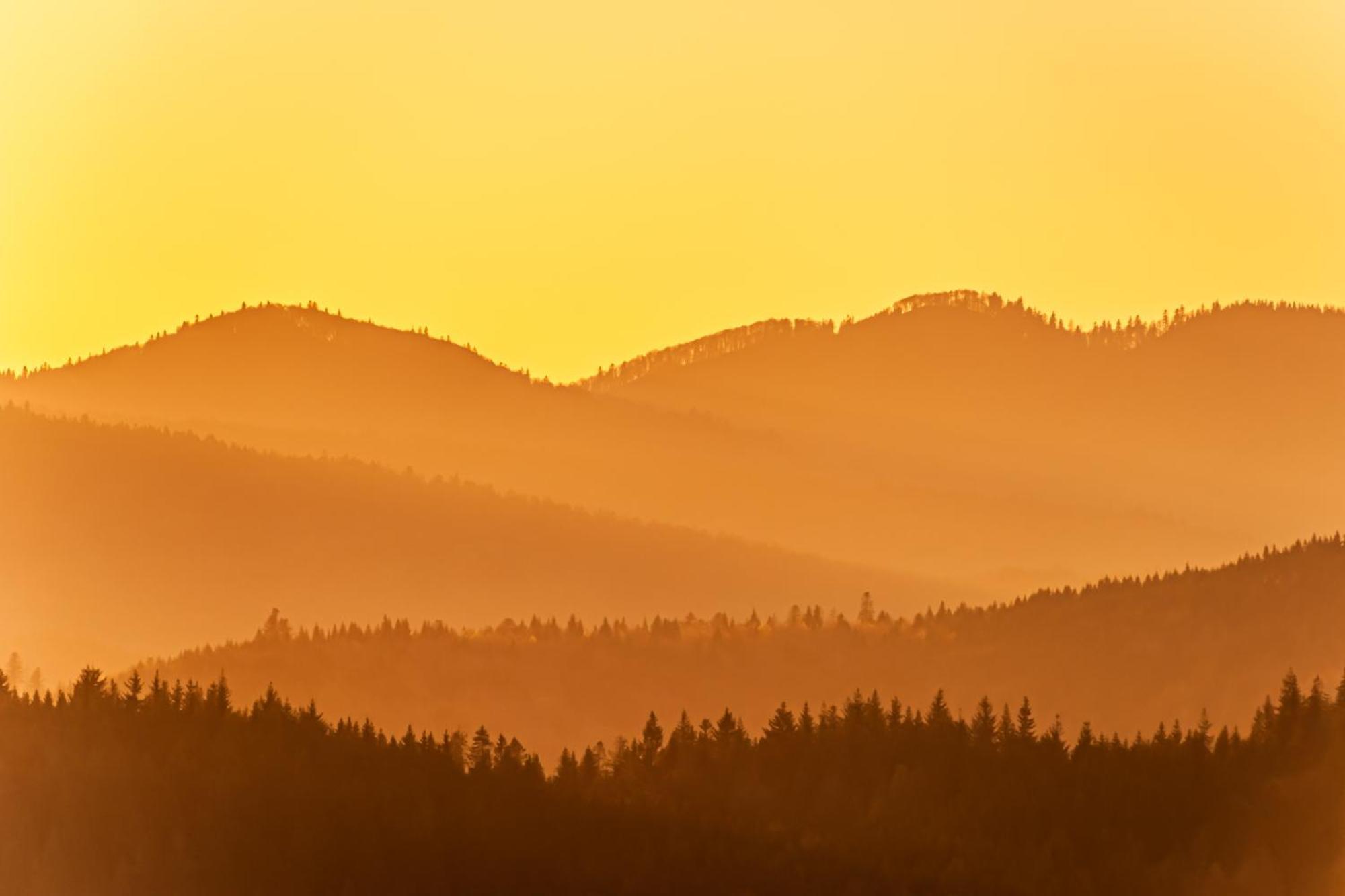 Fewo Sunneschii, Hoechenschwand, Dorf Am Himmel, Sauna Im Hausアパートメント エクステリア 写真