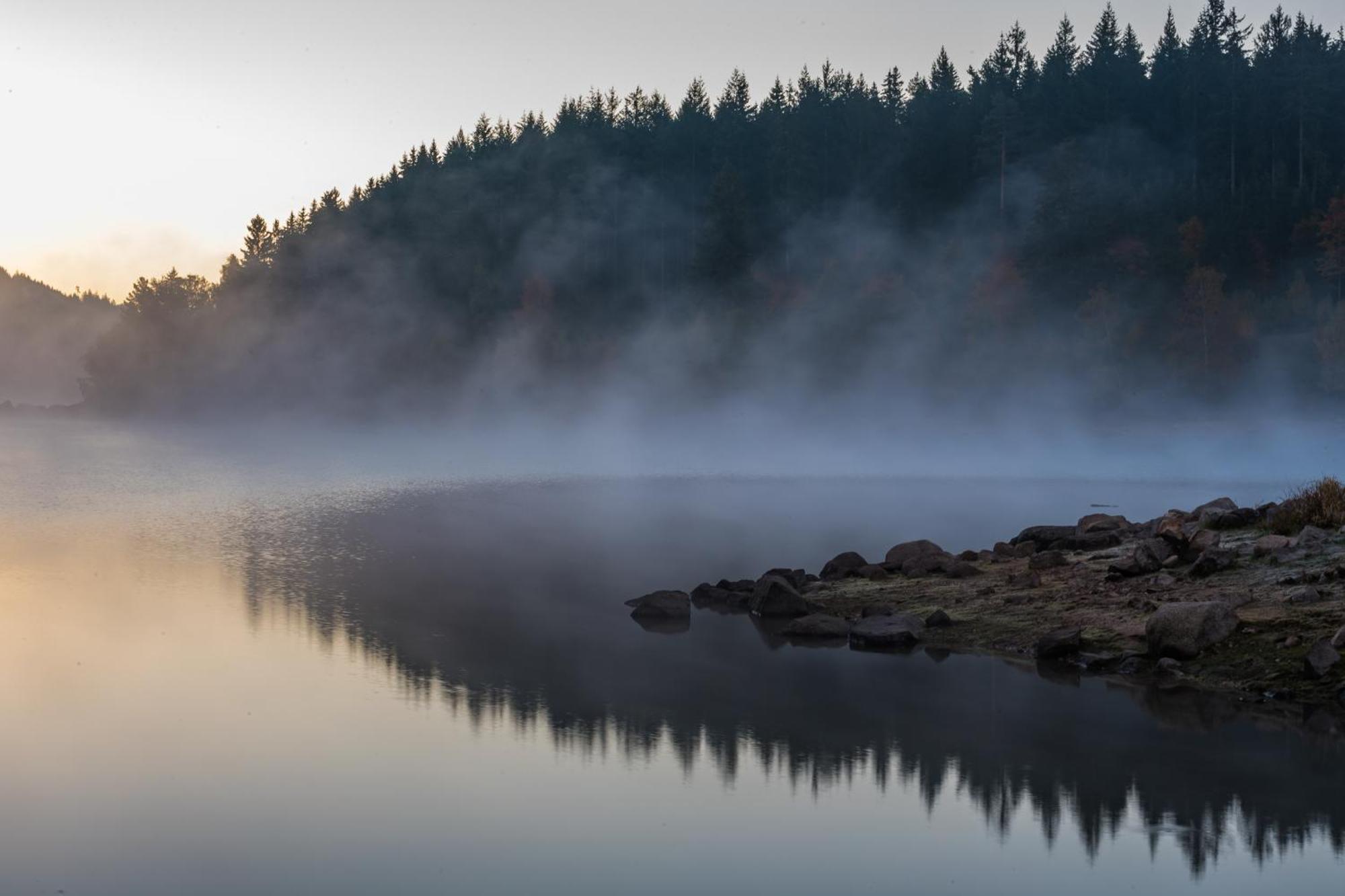 Fewo Sunneschii, Hoechenschwand, Dorf Am Himmel, Sauna Im Hausアパートメント エクステリア 写真