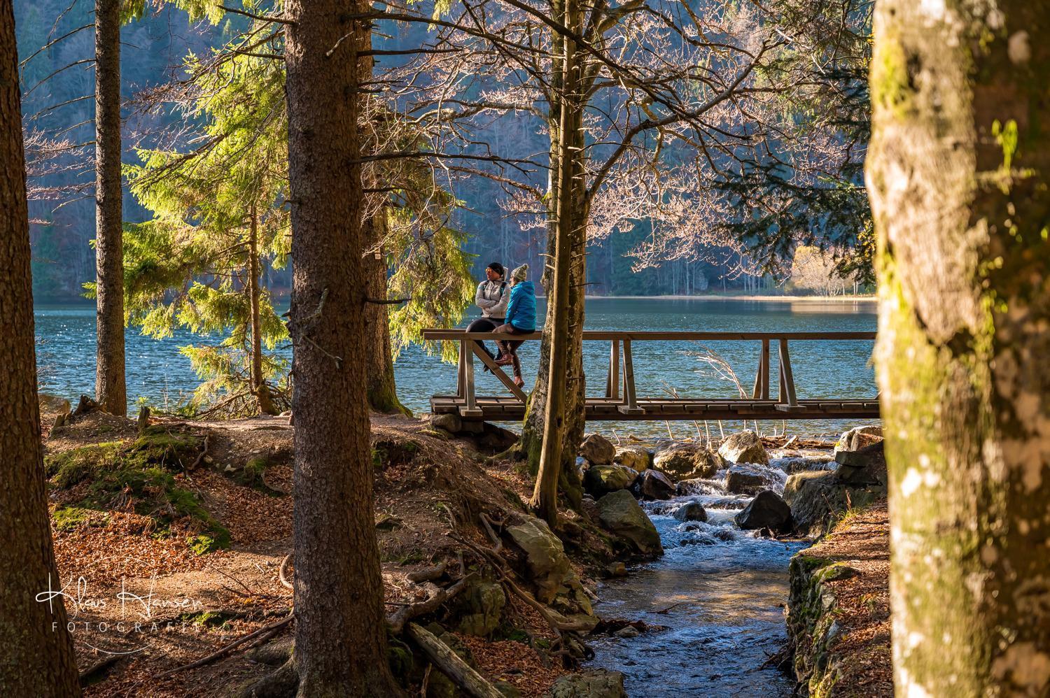 Fewo Sunneschii, Hoechenschwand, Dorf Am Himmel, Sauna Im Hausアパートメント エクステリア 写真