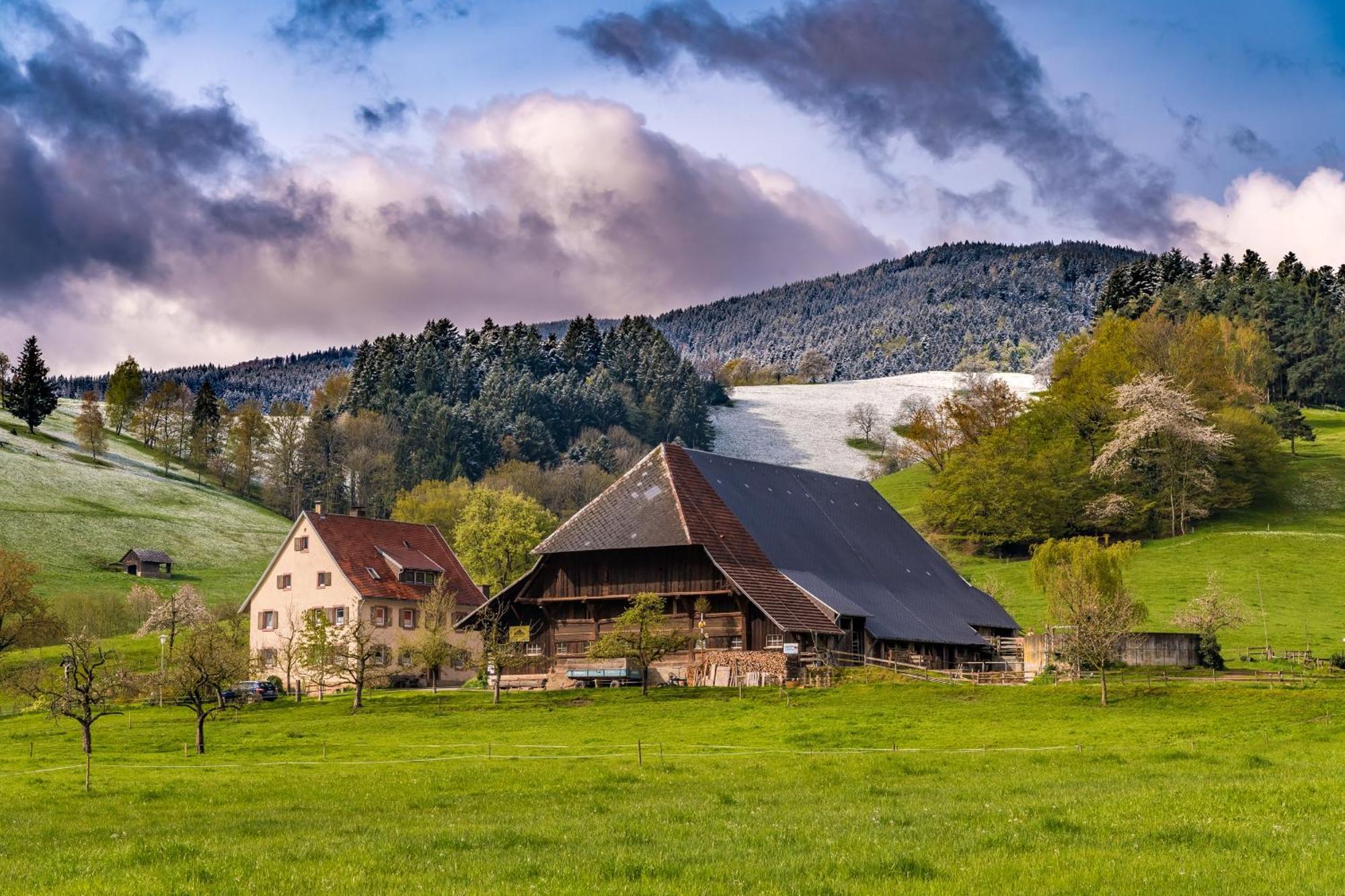 Fewo Sunneschii, Hoechenschwand, Dorf Am Himmel, Sauna Im Hausアパートメント エクステリア 写真