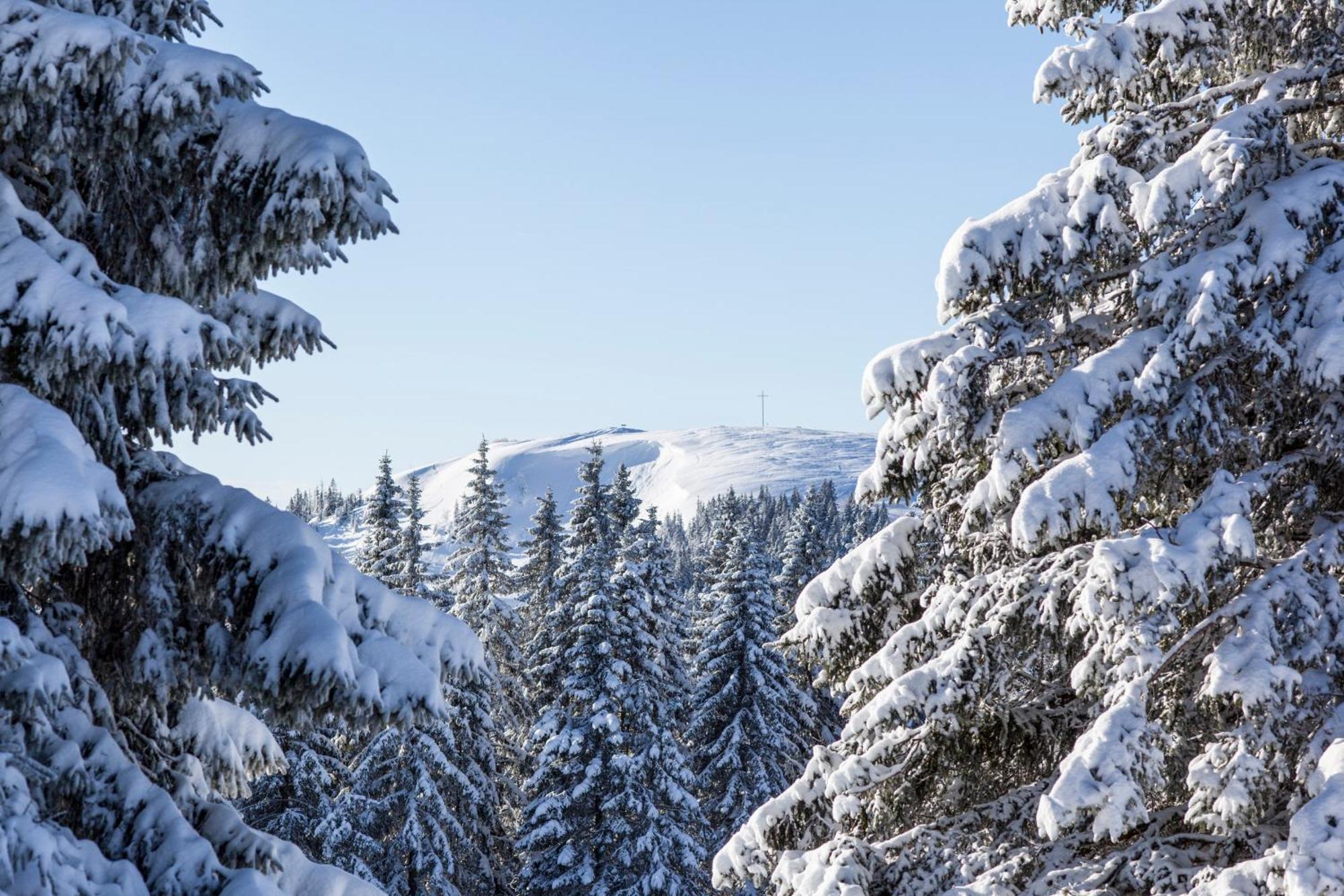 Fewo Sunneschii, Hoechenschwand, Dorf Am Himmel, Sauna Im Hausアパートメント エクステリア 写真