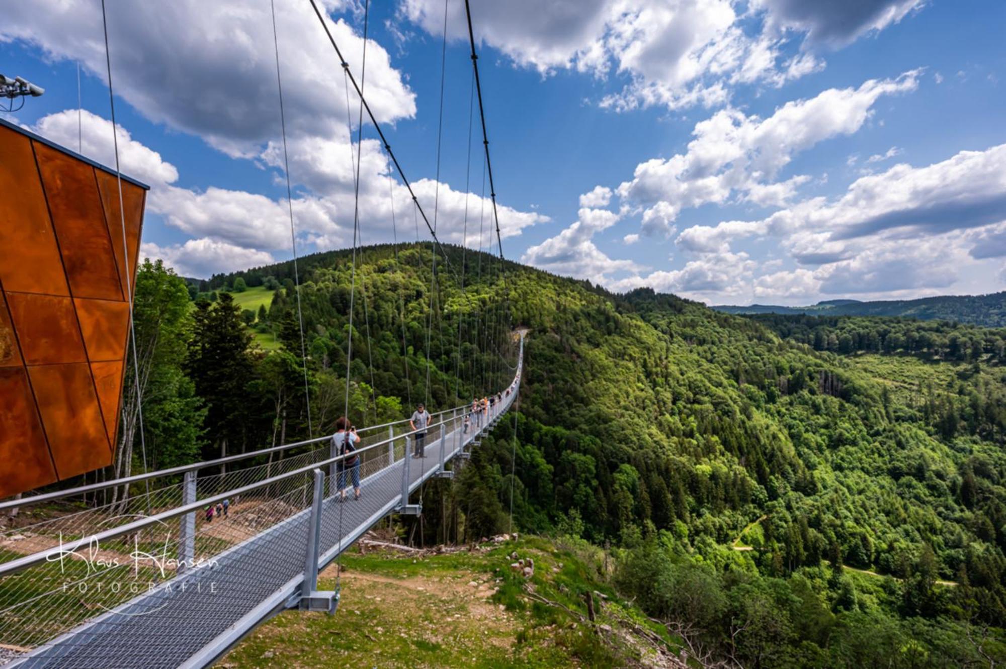 Fewo Sunneschii, Hoechenschwand, Dorf Am Himmel, Sauna Im Hausアパートメント エクステリア 写真