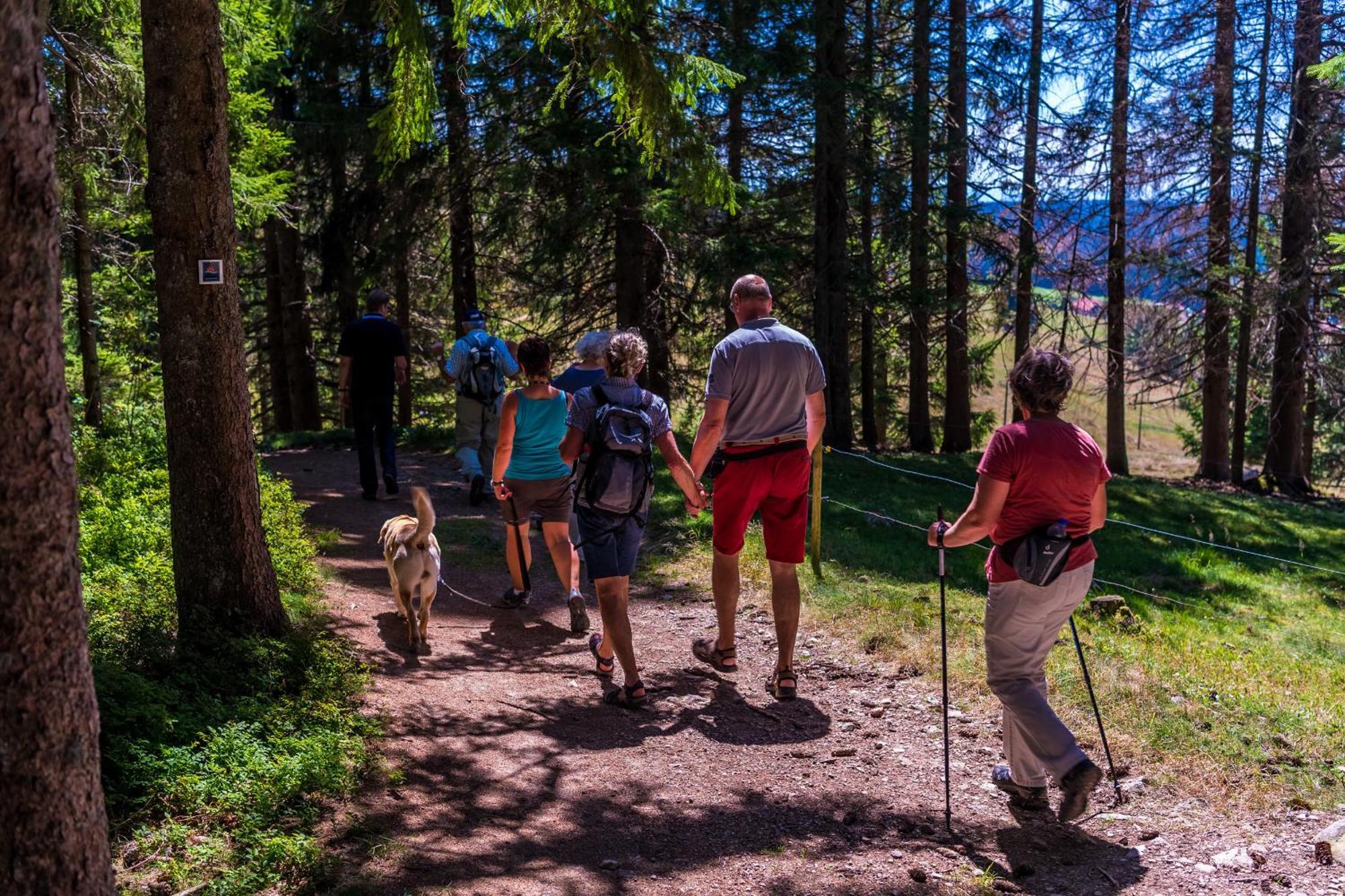 Fewo Sunneschii, Hoechenschwand, Dorf Am Himmel, Sauna Im Hausアパートメント エクステリア 写真